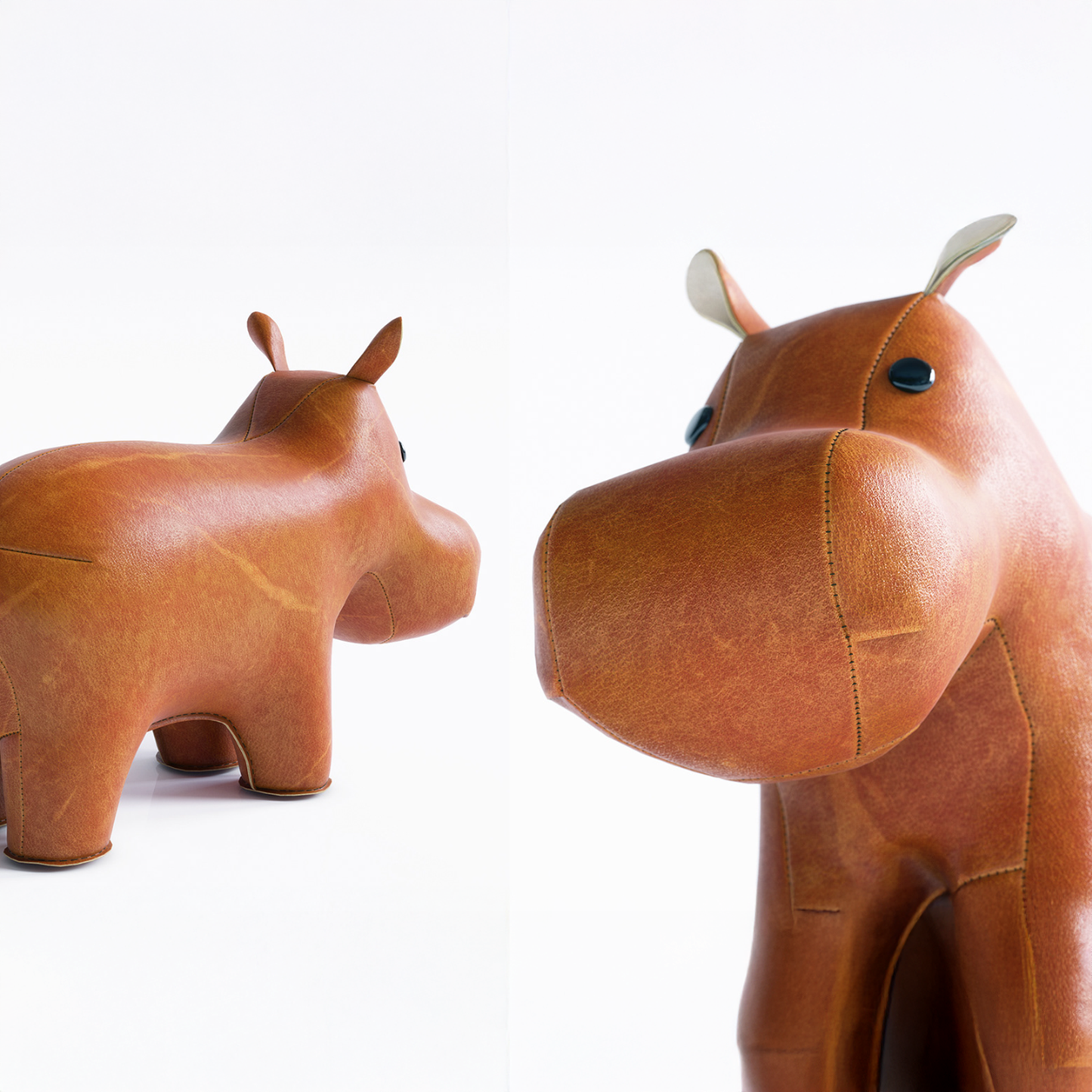 Multi-Angle Packshot Set – 3–5 Clean Packshots