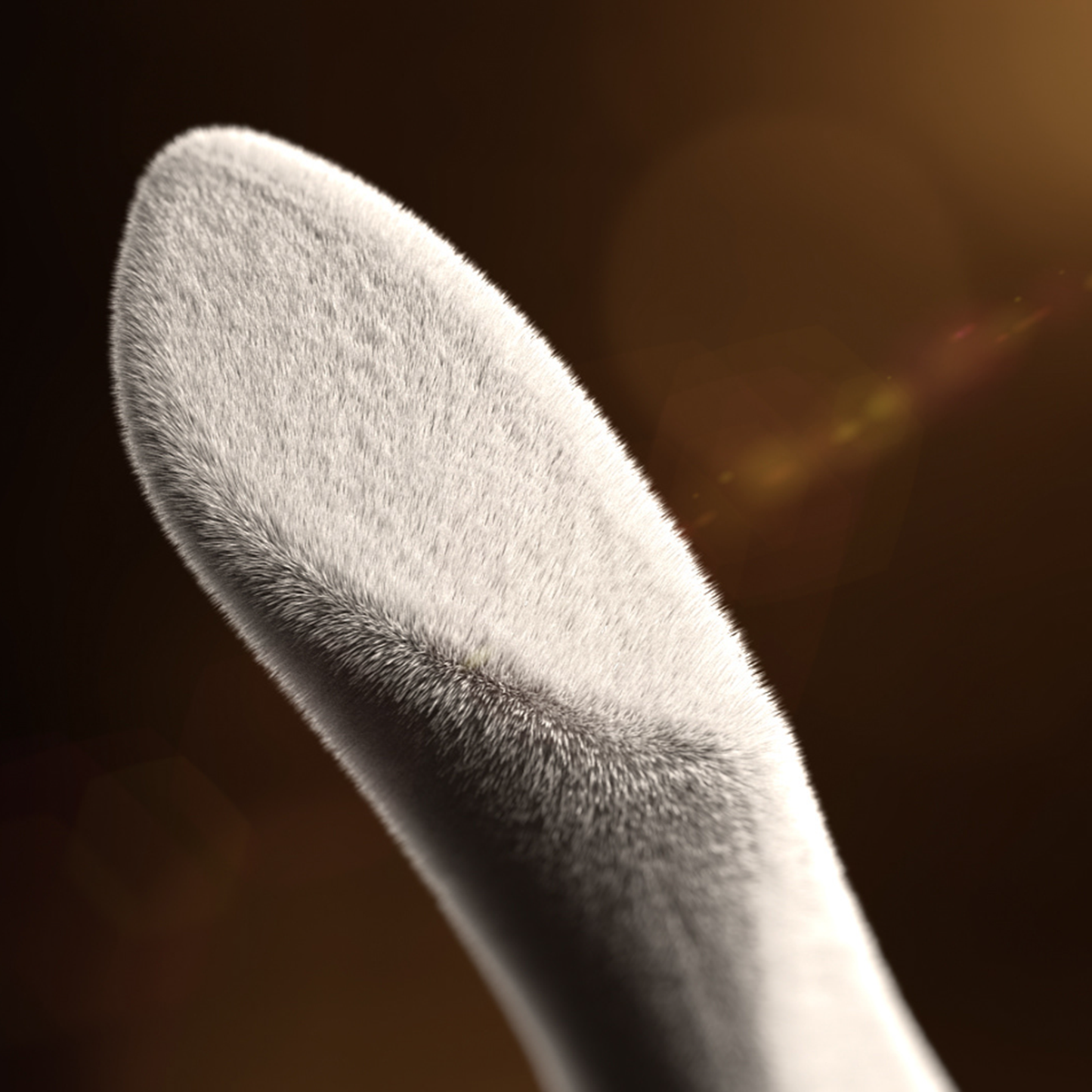 Amazon Starter Pack – 5 Visuals + Text